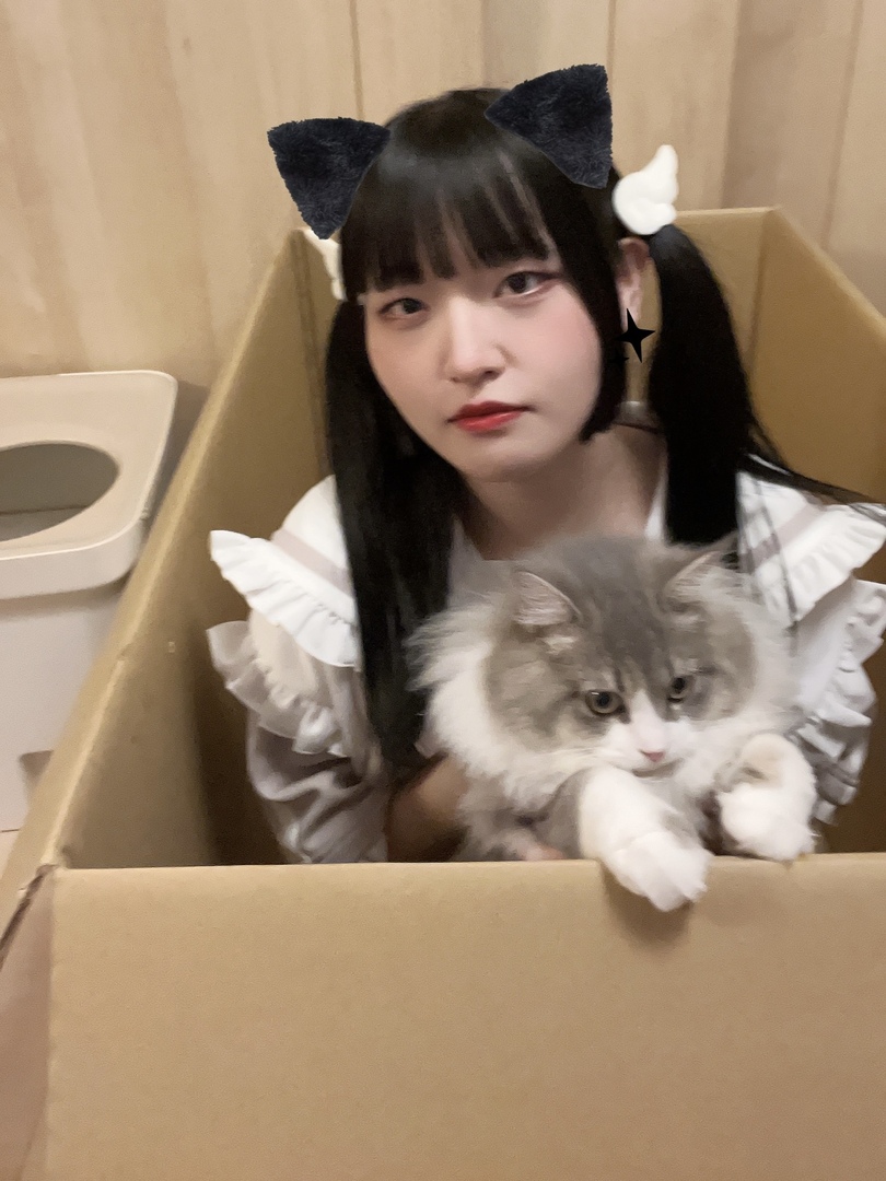 Thumb 62b5a327 b334 47f7 a4e6 542c449304bf