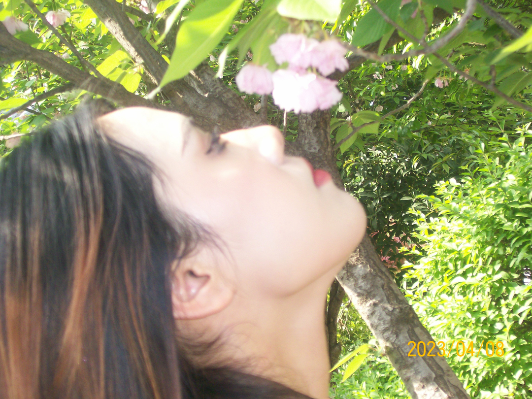 Thumb 45ccb7ed 2ce7 484e 8a8f 93a5c82f58e6