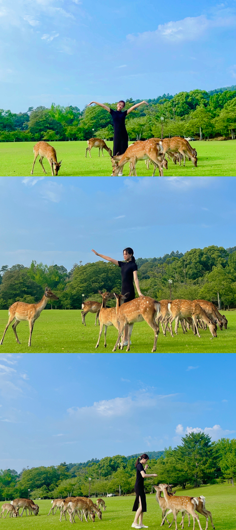 Thumb d32a8d1f 4aec 4a25 872e 8f6cdc9b5cb7