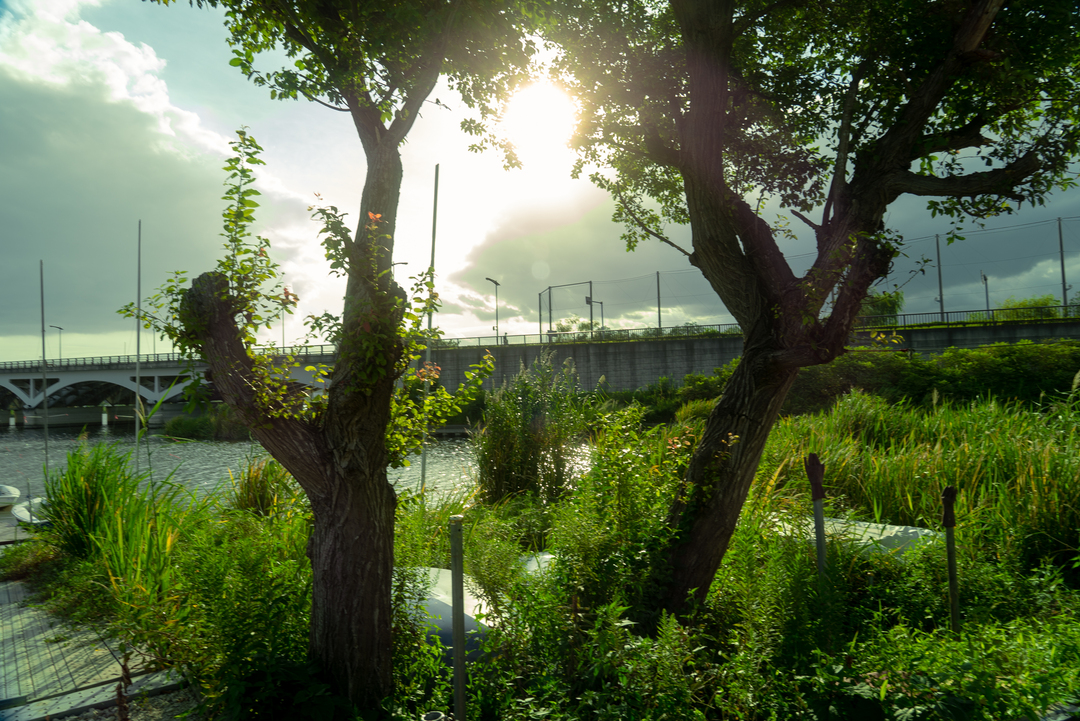 Thumb aefab3d3 de73 48c7 9c02 3485fe19b6bb