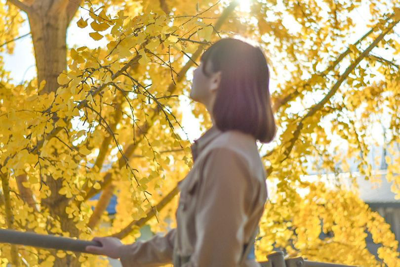 Thumb a6bb758e 8a90 424a ae09 184abcee1f31