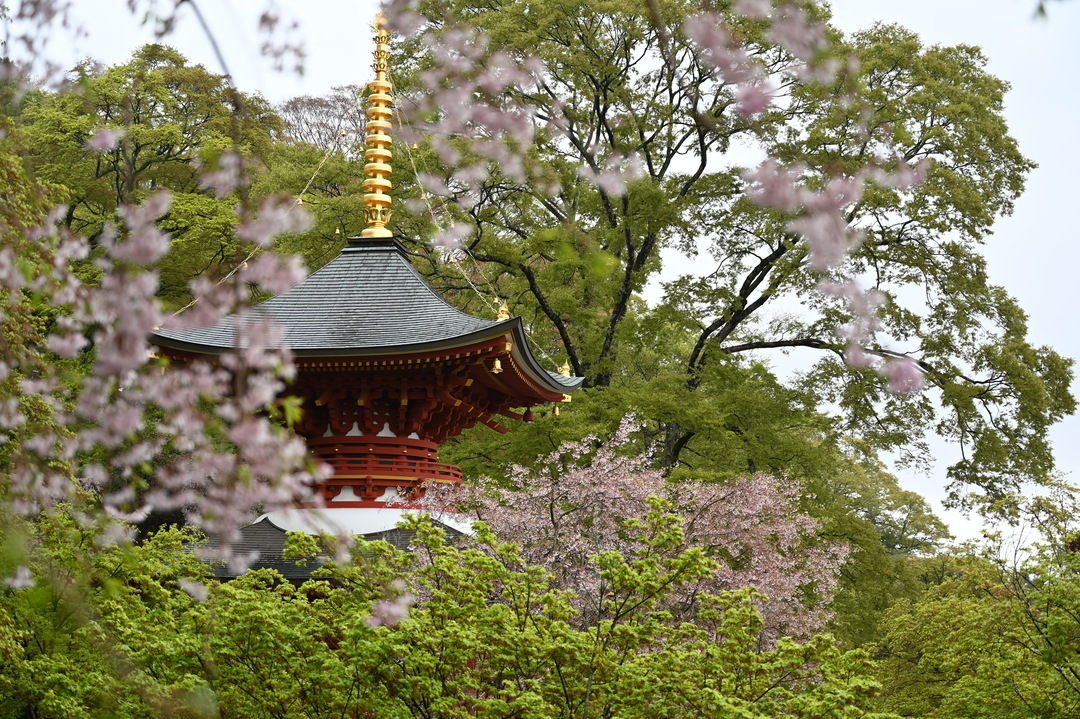 Thumb f50611fe 4957 4fd8 bad9 97a161492dc7