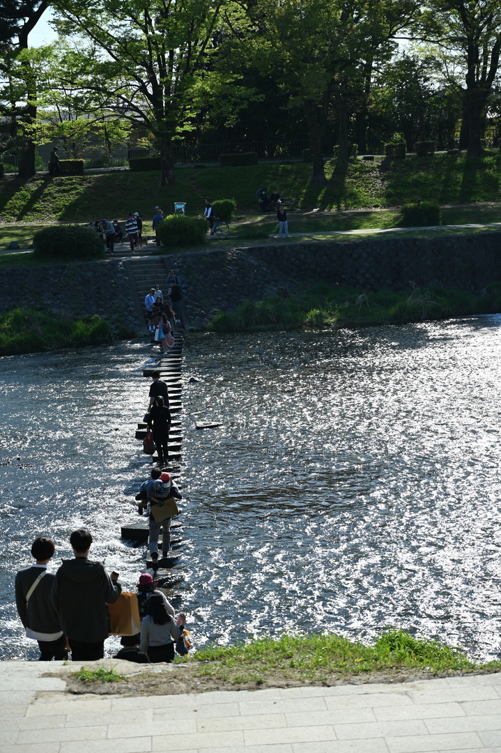 Thumb e92d7a75 efdc 45cf a967 75cf687b8234