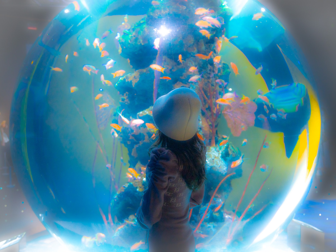 Thumb 51e70994 01c0 43ca 91ce 73eb7fe7b8b6