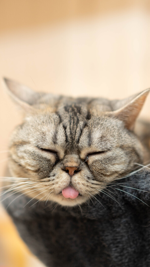 Thumb 6bb5c5c7 8f59 4a0e 82ee 8c7bdcc2db71