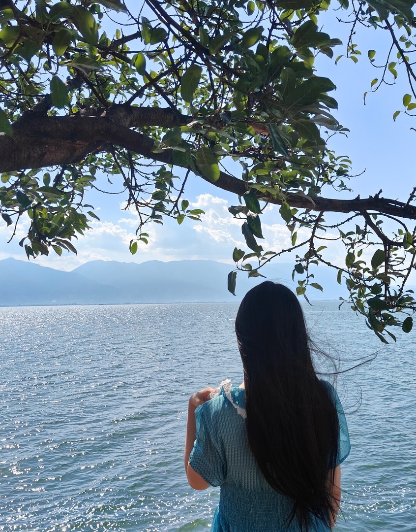 Thumb e435c669 af29 4d19 b0c6 b9d5cd232769