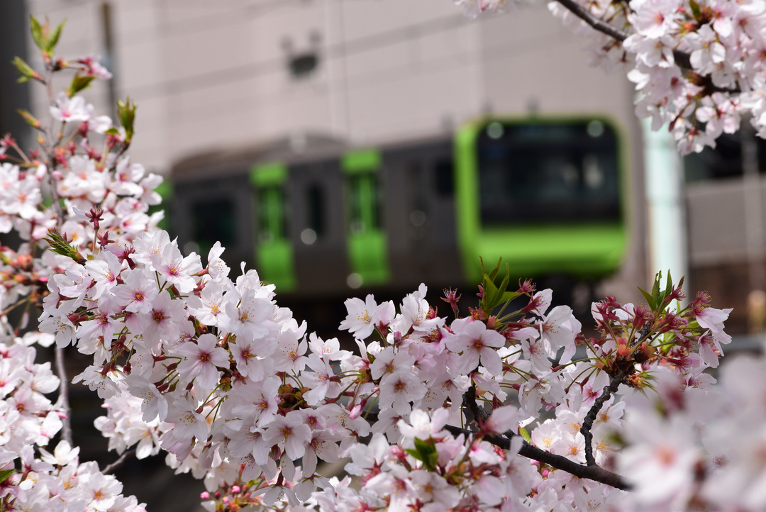 Thumb c96f566a 715d 41dd ad59 707122ab00f4