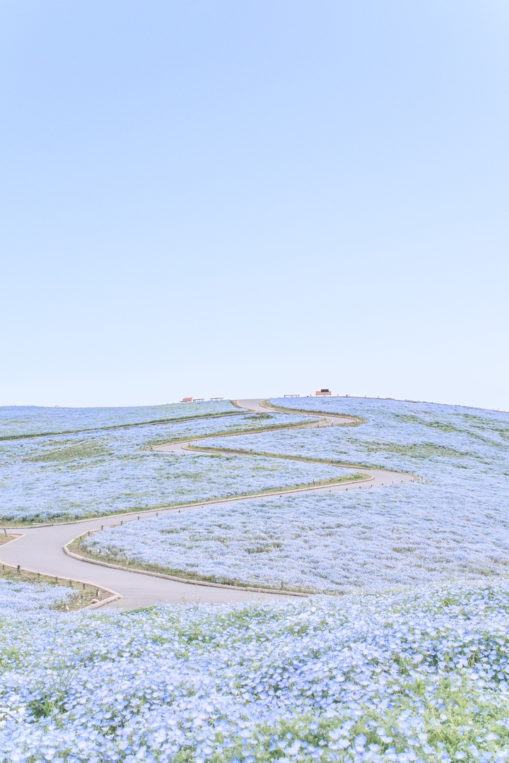 Thumb 2d241016 9fb0 4fc5 8ca7 5cf4fcb39c56