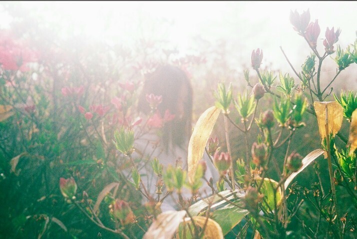 Thumb bfcb2e0a 6cb5 4b1a 8aa1 b18bb1902f29