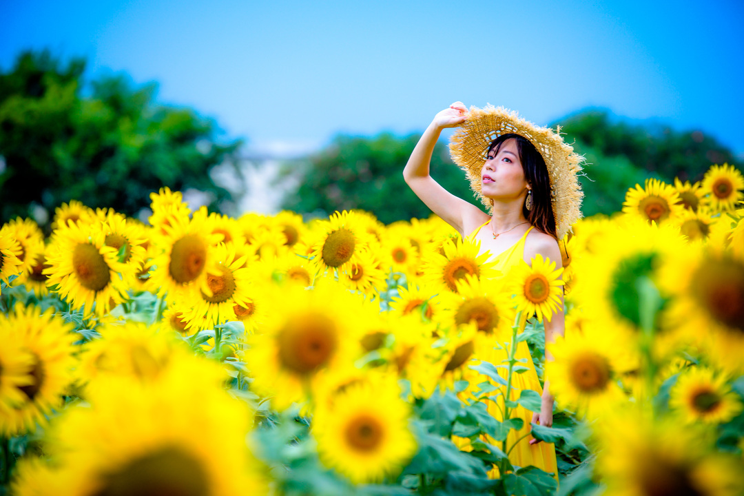 Thumb 7282456b 1d7d 482d 9366 36275fd1b199