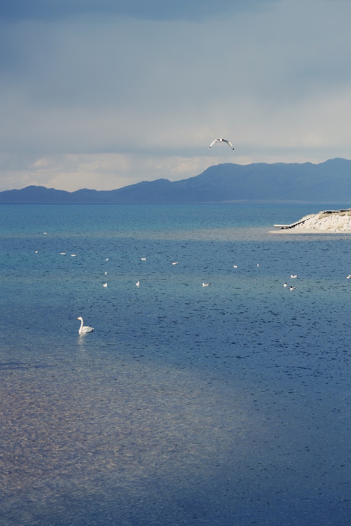 Thumb b1b704cb ddf6 41dc bd49 021f74970ca9