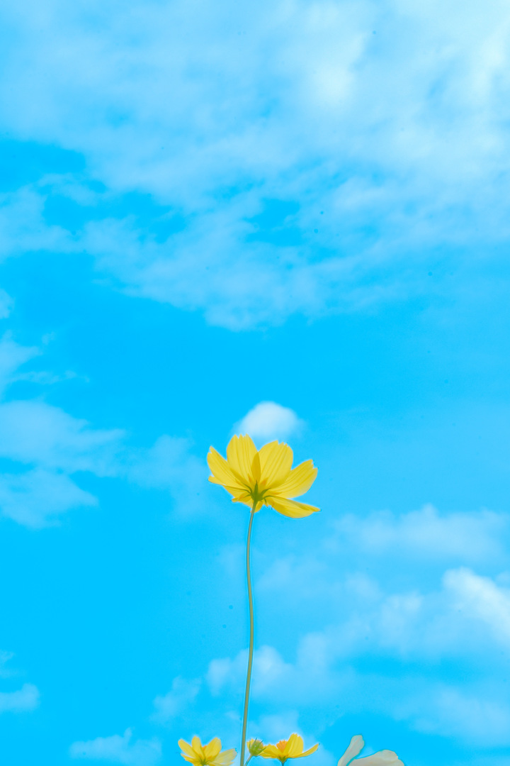 Thumb 610fbe06 b39c 4db0 907c 1649a0514e2b