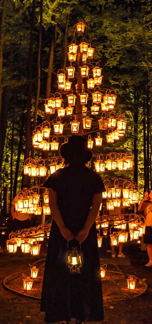 Thumb d72007a2 4acc 45e4 9067 f635acdfa2bf