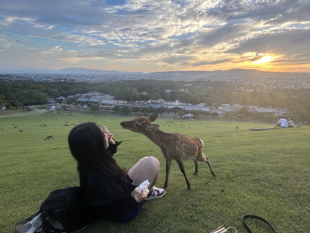 Thumb 625eeeac 4439 4ee8 9ae1 2d79d4f32871