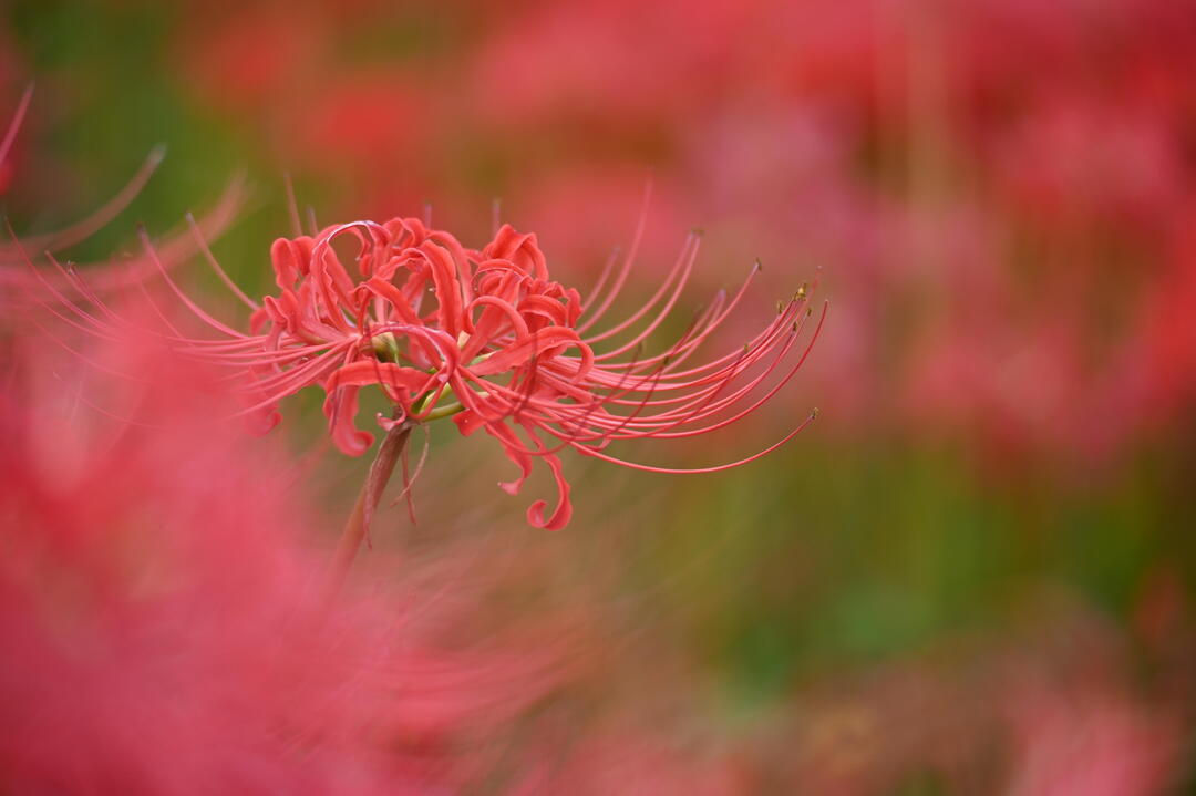 Thumb 30568d8a 29a7 4bb1 a5e3 500d5c750afd