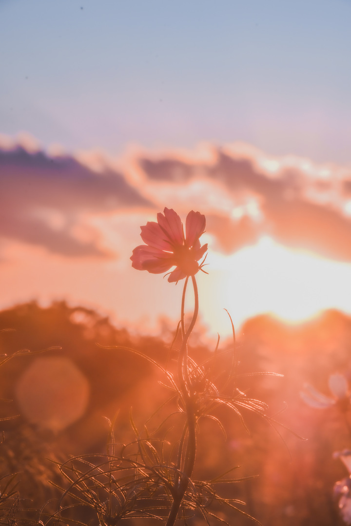 Thumb 0c112ca8 df4d 448a 8d2f 00cbdc169555