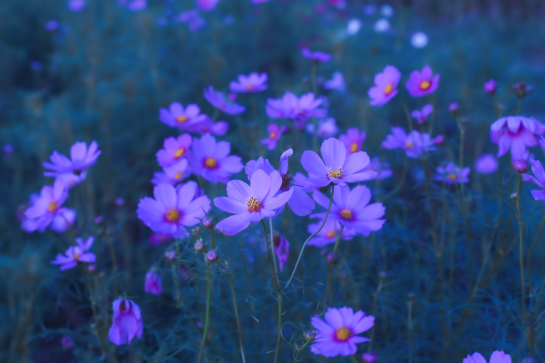 Thumb 5a5ca90c 0e22 4881 81ac 6c032eac31cc