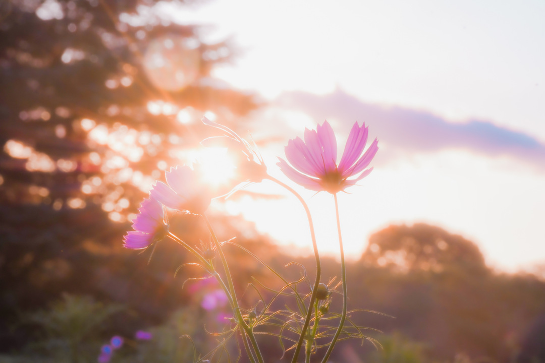 Thumb 4ce2e0fe 73f3 4de1 bf4d 2fd9a8048a16