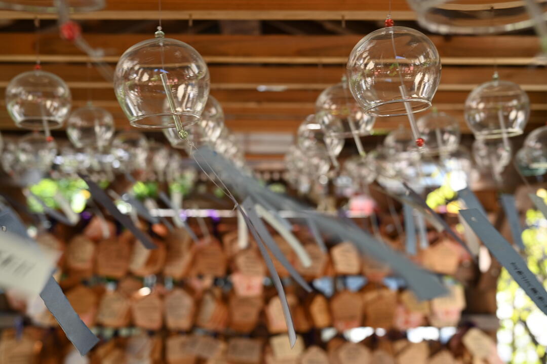 Thumb bcaa65b6 a0cd 4496 9a5c acd5c4632995