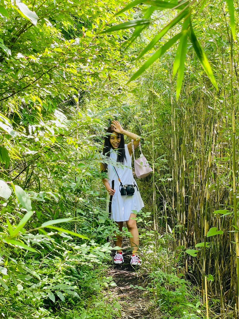 Thumb 65782fc0 09e5 4ec5 bad3 49a8e3d4fbb1