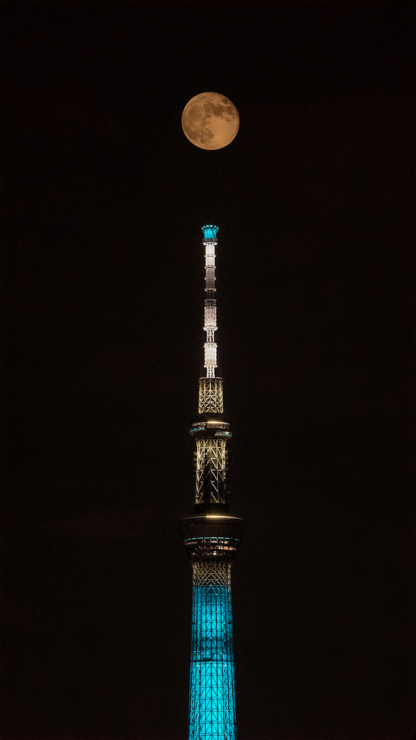 Thumb 8d5ee3e1 c342 403d acf0 1de163742fa3