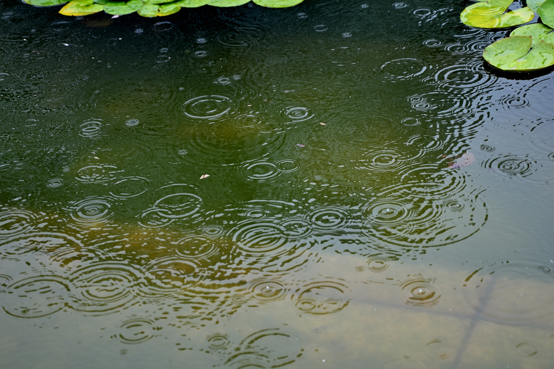 Thumb 340178d6 7e49 45b0 b021 06c7d32bac99