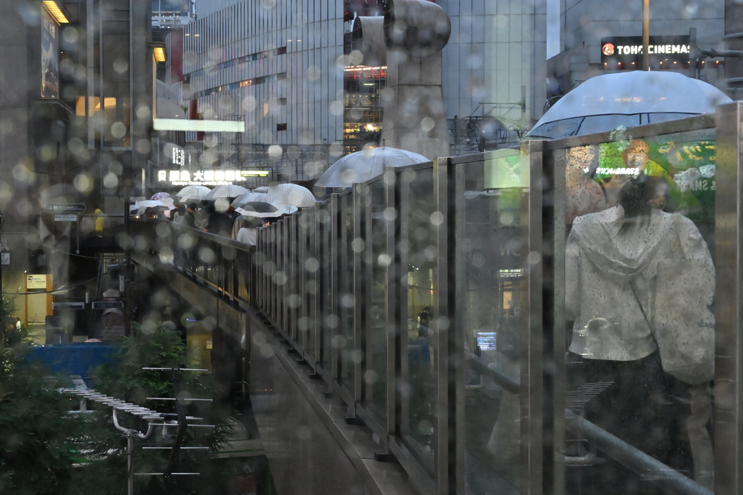 Thumb 589d154b b914 4854 b237 127f538aac9e