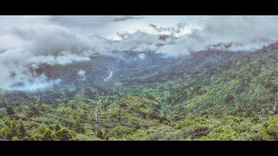 Thumb ba077715 fb1d 42e7 be1d a2de940dfbc3