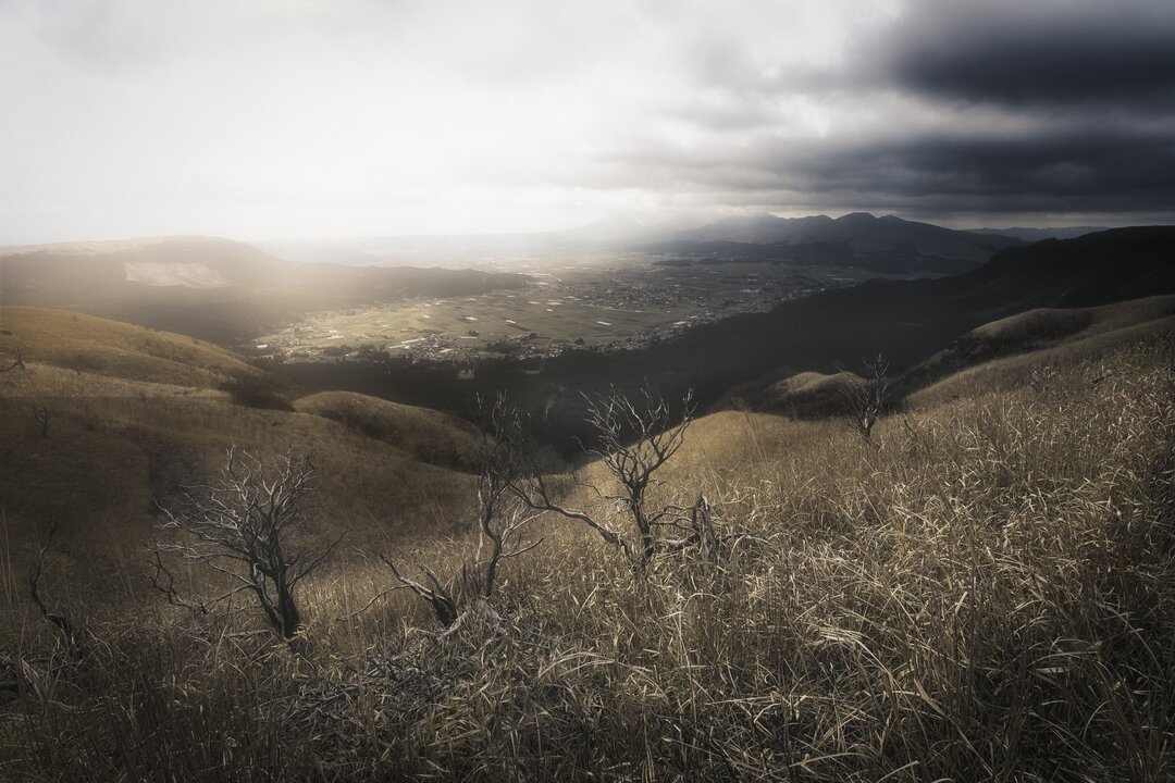 Thumb 85d0bae7 cf3c 439e 9608 612ae0d3ed55