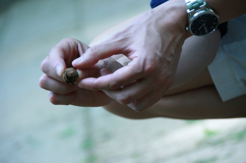 Thumb eac33511 d1fa 44f2 82f7 cfe73e593323