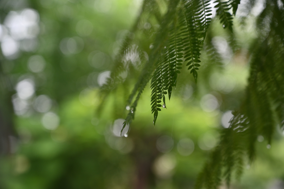 Thumb 55de07e9 3e70 4bba 9375 4227559d6125