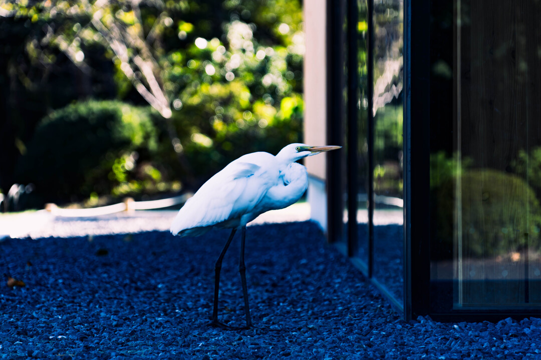 Thumb 2d37374f 01fe 4ce1 ba53 a23144d2fd46