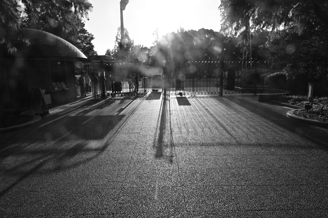 Thumb 38c78f98 f5a1 4e18 b643 067df1829d2d