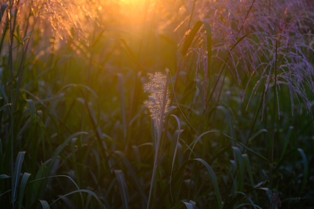 Thumb dfee07da a944 49a6 9500 8f4b20aba69e