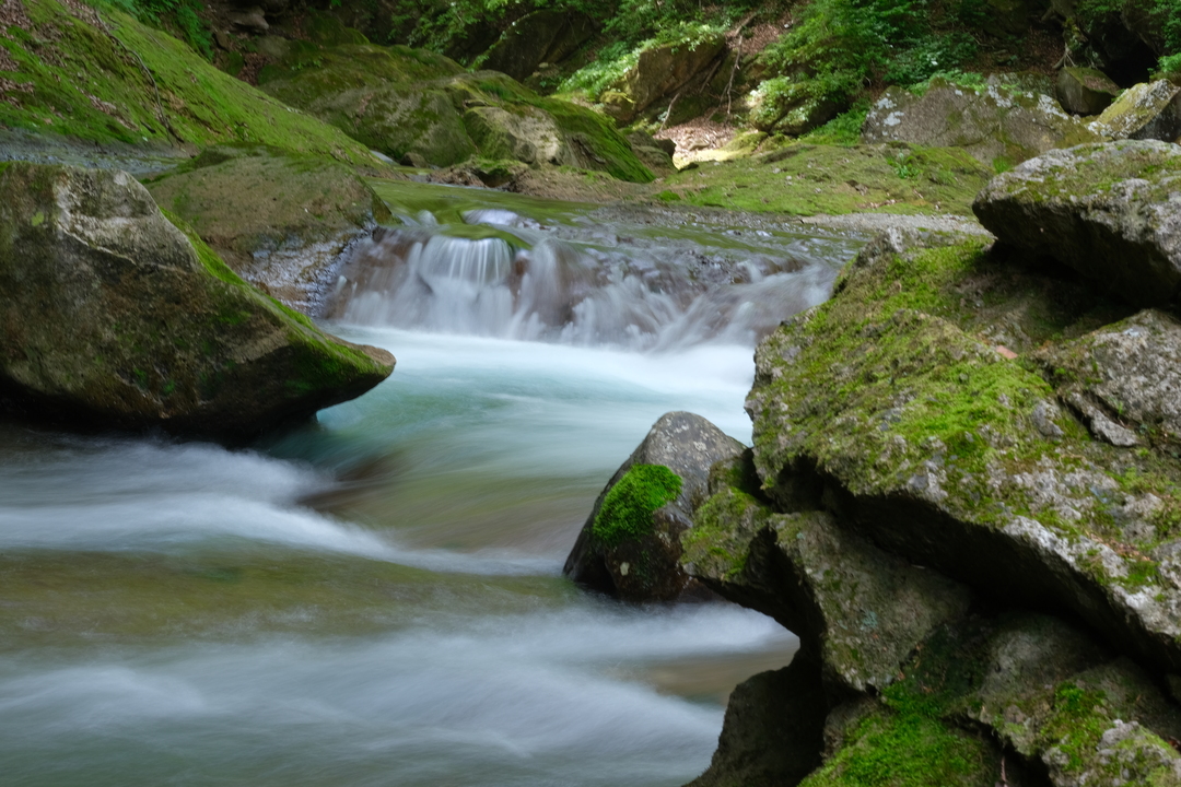 Thumb afab03b2 4665 4a13 b970 0e5a7531b619