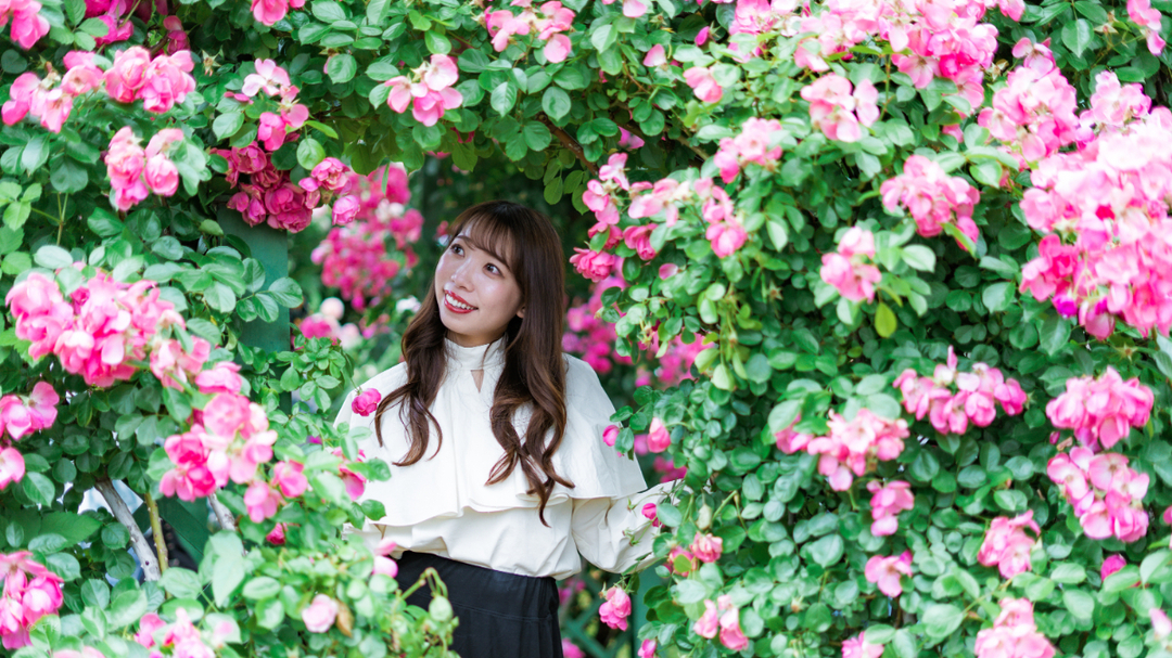 Thumb 9e9127a2 6f07 446f a4b0 e86fd1dc1201