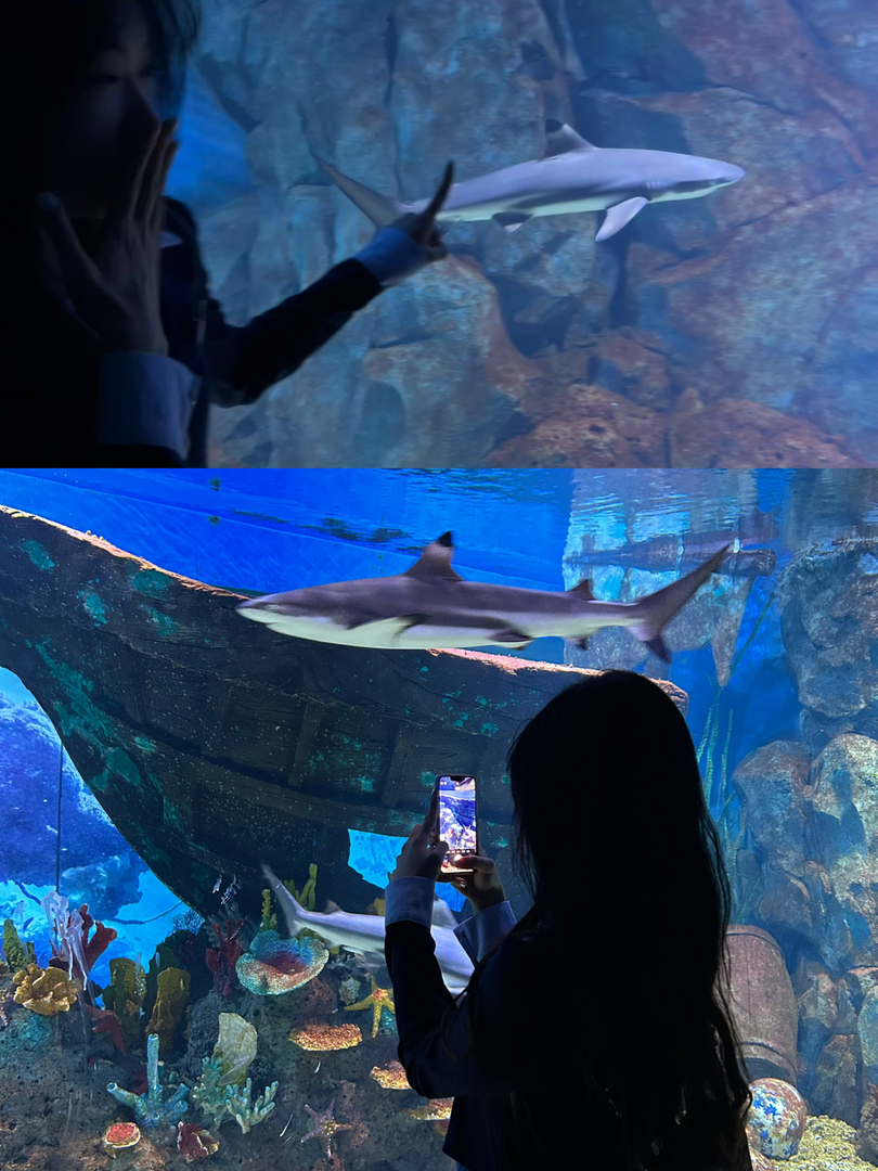 Thumb a48b540d d05b 4cad bad2 4e309c42fd00