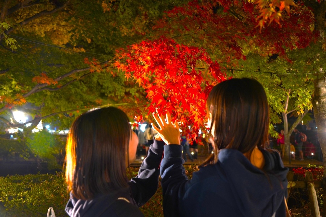 Thumb feb803e4 2c67 4186 b302 11ad9f988fd9