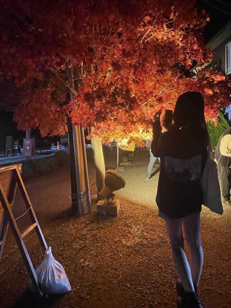 Thumb dd90d68a 7345 49a1 aeb7 ecc02df3c4bc