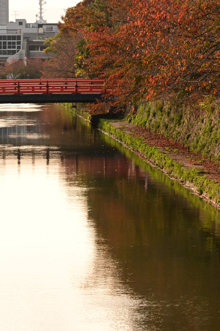 Thumb e26da1f8 f668 452b 96d4 d409601e808c