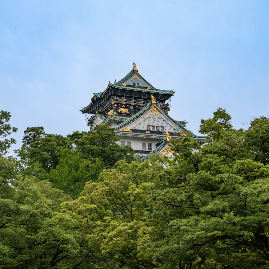 Thumb 12681938 aff4 448a 8898 95123f69cbca