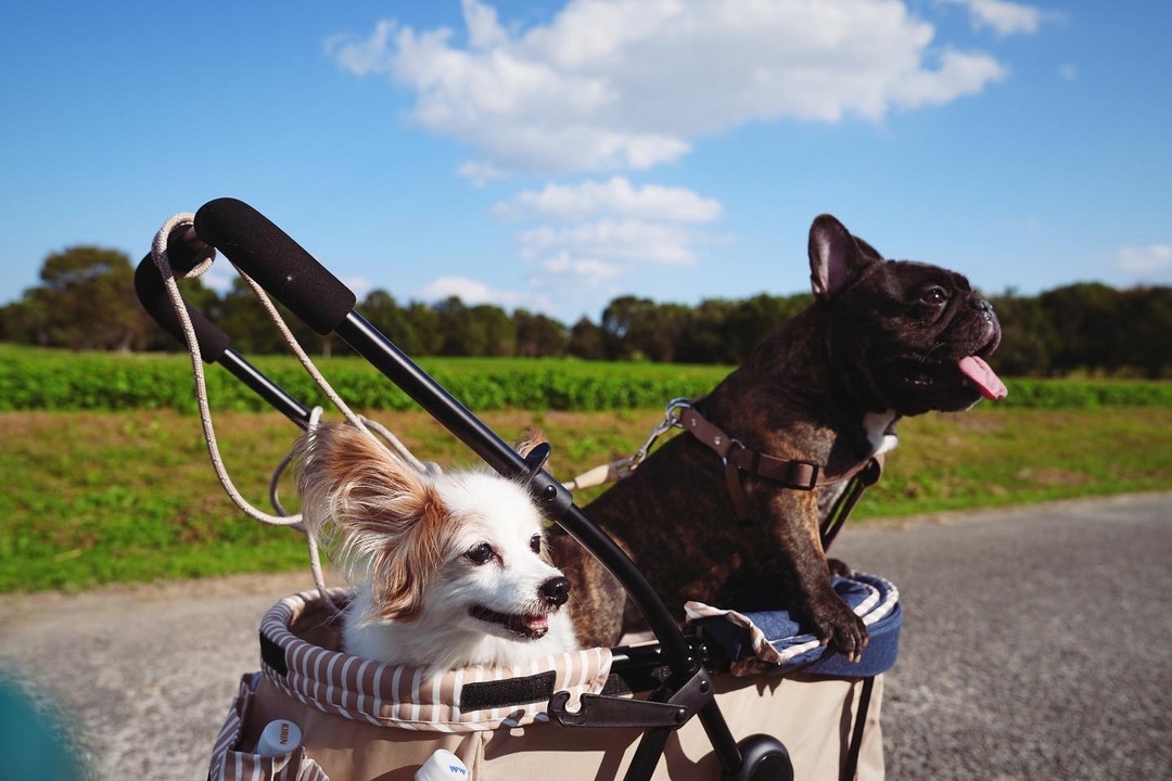 Thumb e4902d20 c404 4f82 aff6 8149be99e709