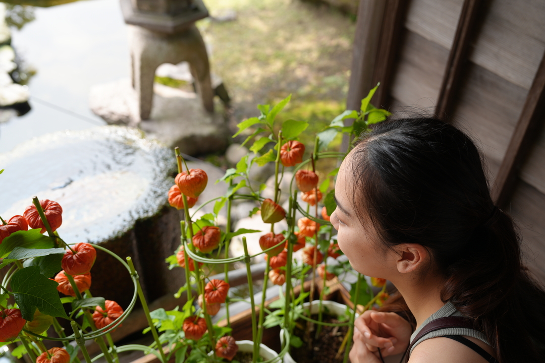 Thumb 8cfa19d1 36ef 4cbc 8173 afb2bd1ae37b