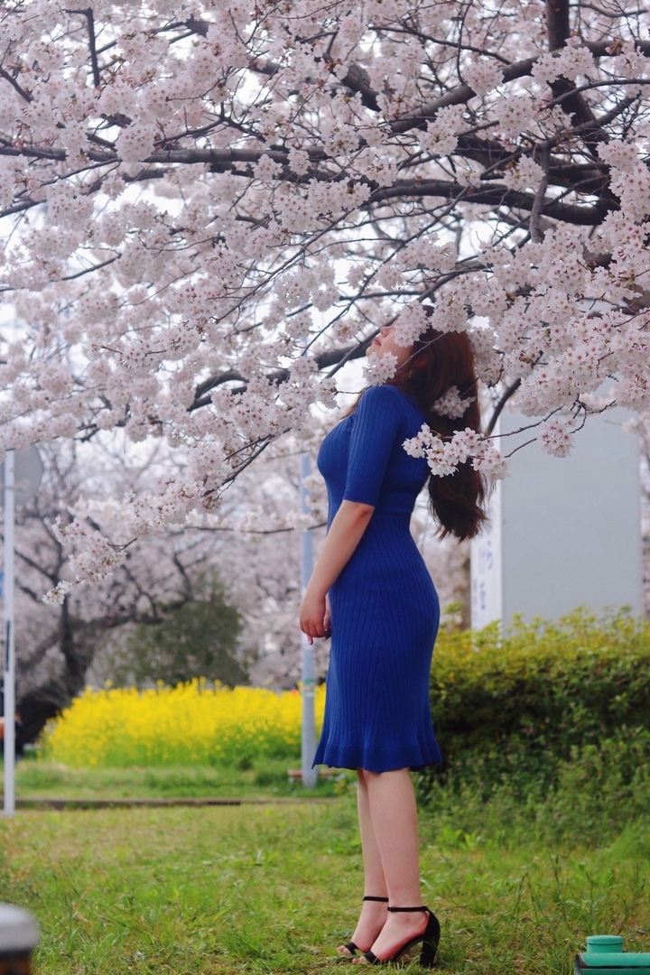 Thumb f0fce6ee 69d9 4c56 bebf 35c5b921655a