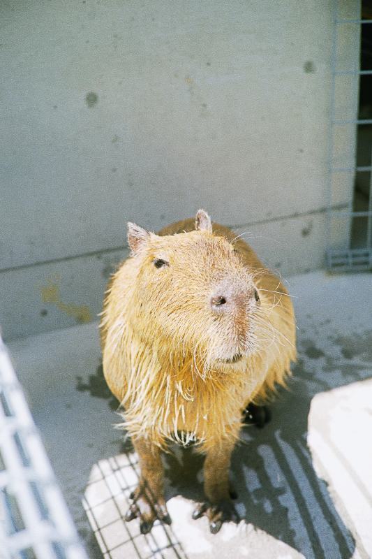 Thumb a783ca3c 9dad 4583 aa29 6ffe23cce552