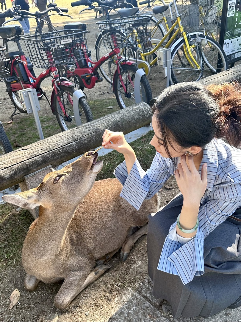 Thumb a5e39d1e 74e3 4c85 a2c2 14132d17567e