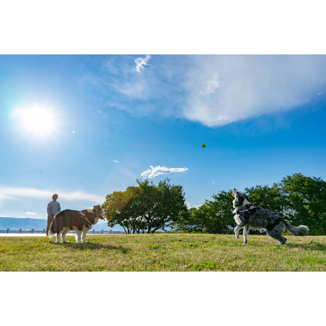 Thumb 6e256819 dbcc 4a83 8901 3c94278d18e3