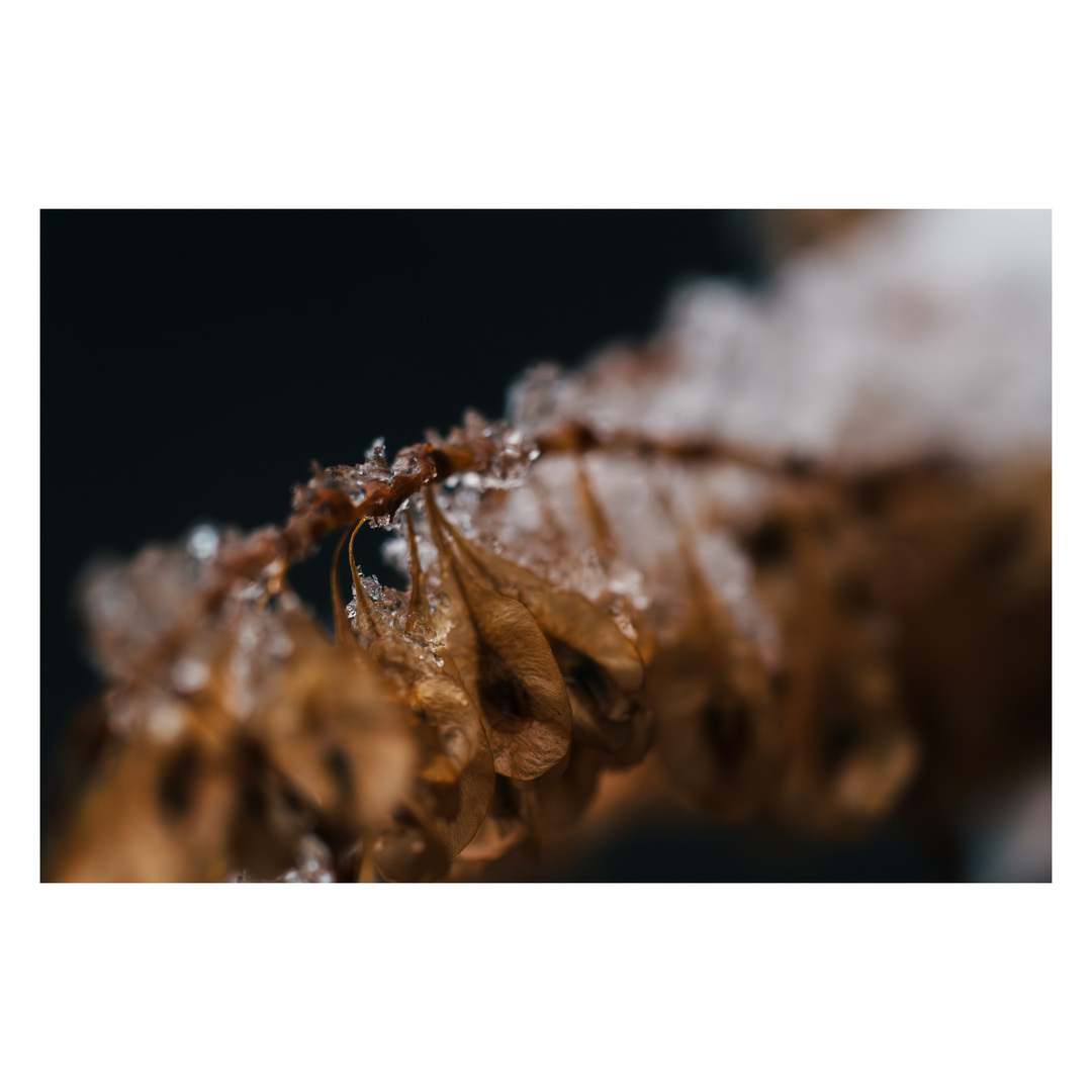 Thumb d2499f8e 2fca 4dc3 9f4b ba1f6c560013