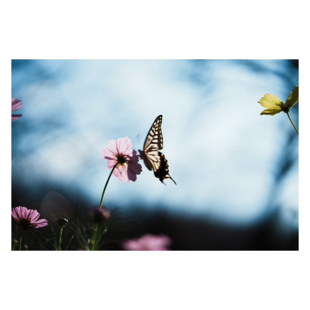 Thumb 10ed8e77 aa78 433a a55a a5b7c0e1242f