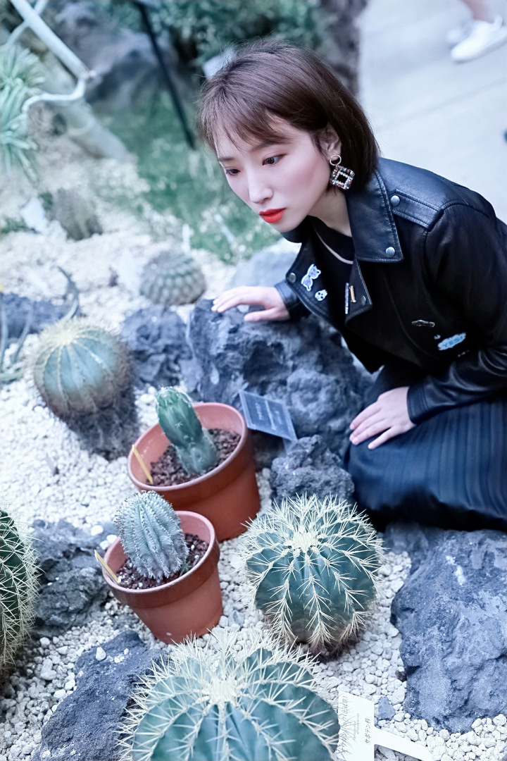 Thumb 8802762a 68db 44d9 8a02 fc7ab40b6528